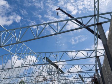 Mobil İnşaat vinçleri.