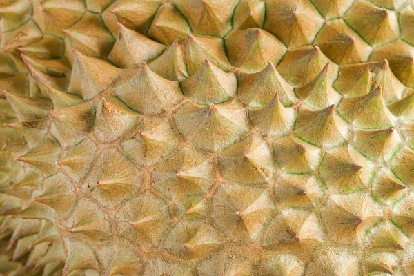 Durian pelar el rey de las frutas . — Foto de Stock