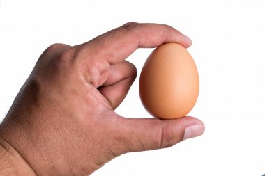 Taze yumurta el ile tutuyorsun.