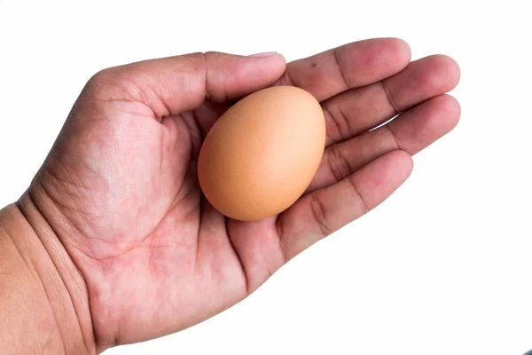 Le uova fresche sono tenute a mano . — Foto Stock