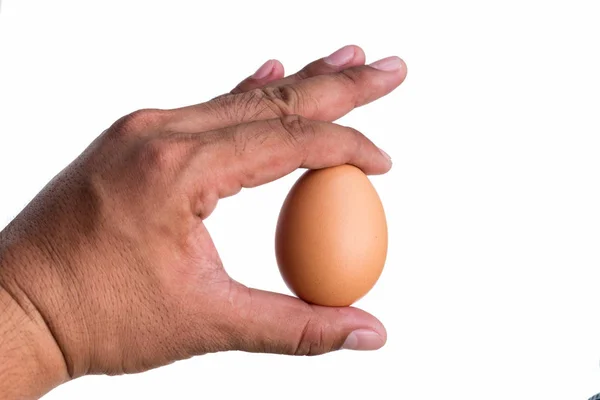 Frische Eier werden von Hand gehalten. — Stockfoto