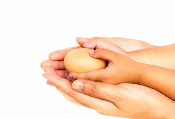 Verse eieren houden met de hand. — Stockfoto