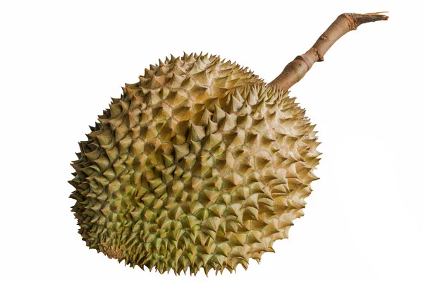 Durian el rey de las frutas . — Foto de Stock