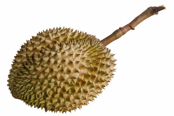 Durian el rey de las frutas . — Foto de Stock