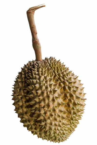 Durian el rey de las frutas . — Foto de Stock