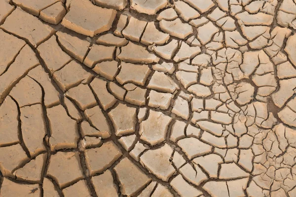 Terra seca rachada . — Fotografia de Stock