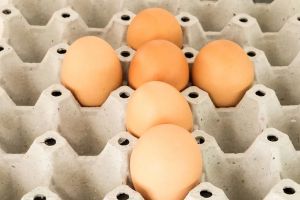 Kartonnen eierdoos. — Stockfoto