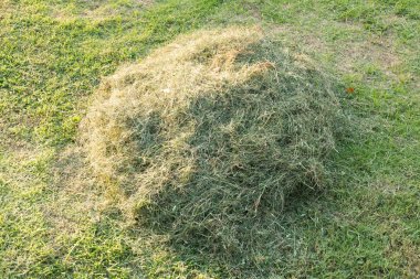Haystacks hill yakınındaki.