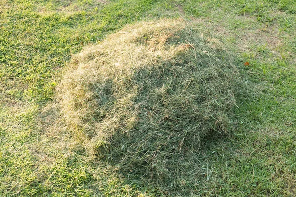 Haystacks a hegy közelében. — Stock Fotó