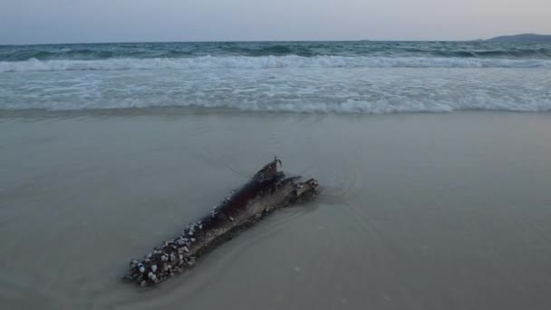 Wellen am Strand von Samet. — Stockvideo