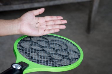 Ölü sivrisinek kadeh.