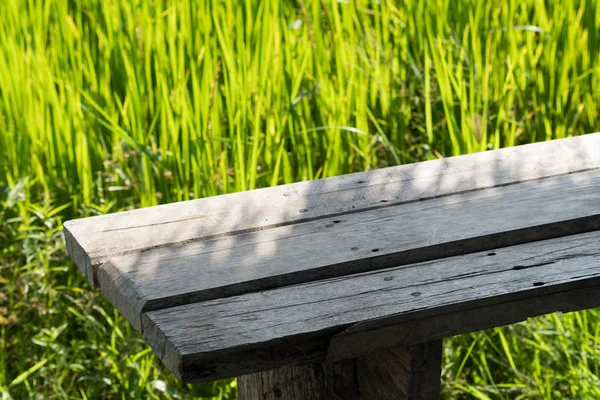 Close up rice in the field. Stock Photo