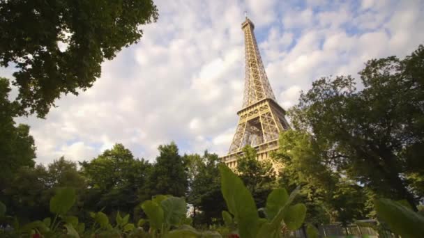 Eiffeltoren met bladeren op de voorgrond — Stockvideo