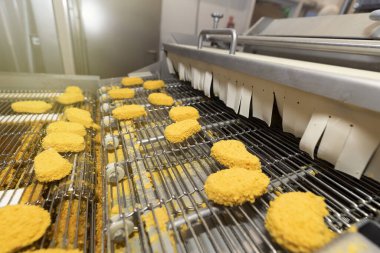 Yarı bitmiş et ürünleri üretimi için sıra. Etten yiyecek üretimi için fabrika