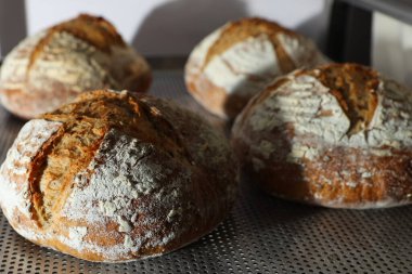 Mutfaktaki tepside taze pişmiş ekmek.