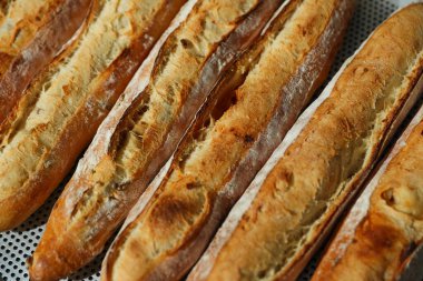 Fırında bir sürü Fransız ekmeği var.