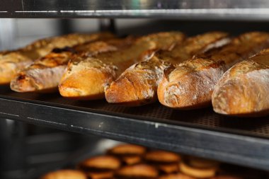 Fırında bir sürü Fransız ekmeği var.