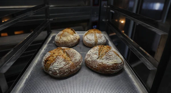 Freshly baked bread on a baking sheet was taken out of the oven. The photo in the bakery