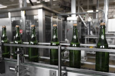 Taşıma bandında yeşil şampanya şişeleri var. Şampanya üretimi