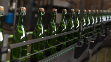 Taşıma bandında yeşil şampanya şişeleri var. Şampanya üretimi