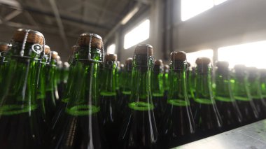 Kapalı şampanya şişelerine yakın çekim