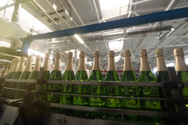 Şampanya şişeleri taşıma bandında