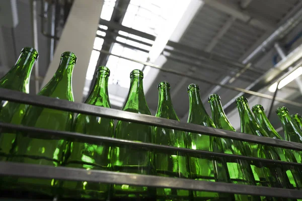 Empty green bottles are on the conveyor belt. Plant for the production of champagne