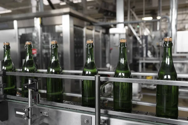 Zöld Pezsgős Üvegek Szállítószalagon Pezsgőgyártás — Stock Fotó