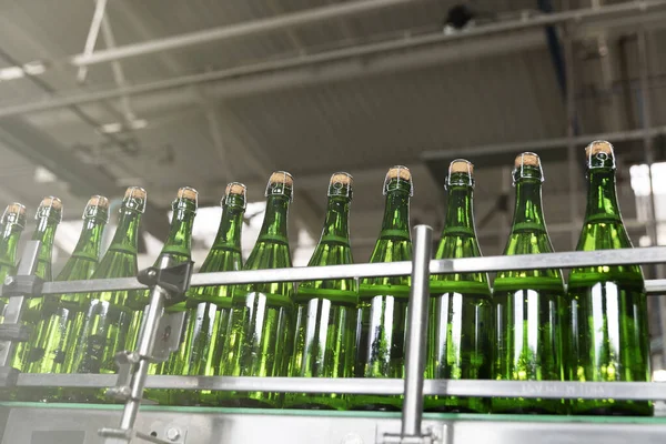 Green champagne bottles on the conveyor belt. Champagne production
