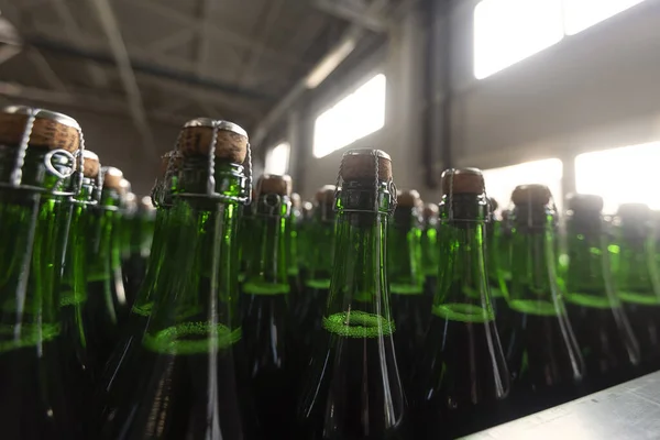 Green glass champagne bottles on the conveyor