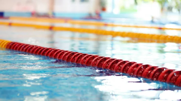 Public Swimming Pool Separate Lanes Swimmers — Stock Photo, Image