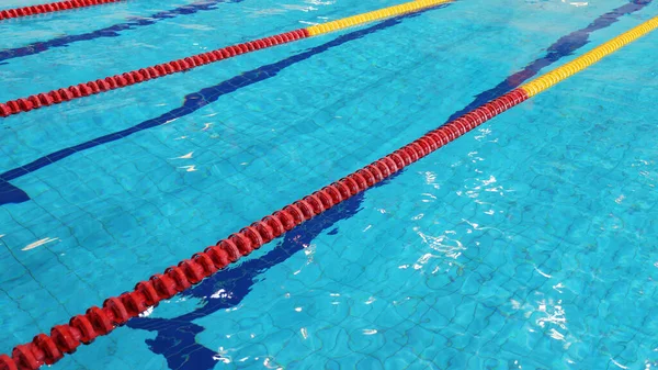 Public Swimming Pool Separate Lanes Swimmers — Stock Photo, Image