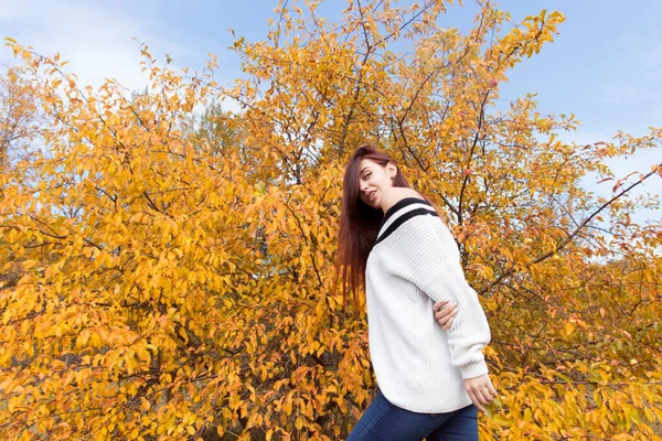 스웨터를 소녀가 숲에서 포즈를 취하고 있습니다 — 스톡 사진