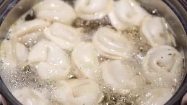 Meat dumplings in cooking process — Stock Video