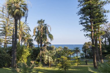 Güzel yeşil San Remo, İtalya