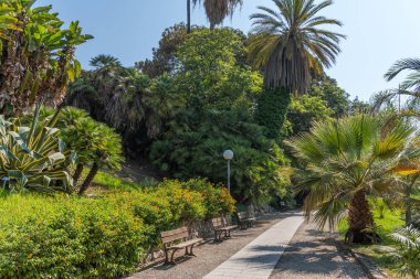 Güzel yeşil San Remo, İtalya