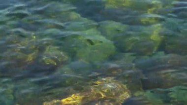 Deniz sakin dalgalar