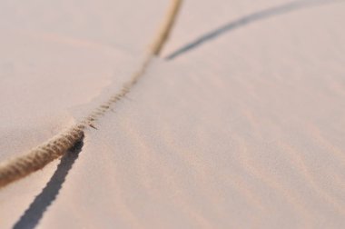 Slowinski Ulusal Parkı (Lehçe: Sowiski Park Narodowy), Leba Çölü, Polonya