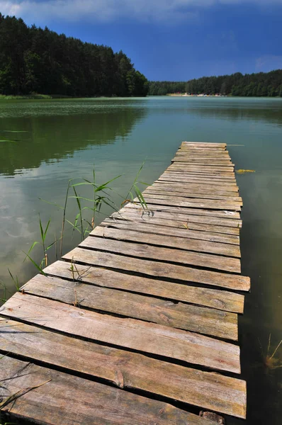 Wooden bridge, platform on a lake in a sunny day