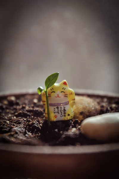 Japon heykelcik ve küçük Fideler