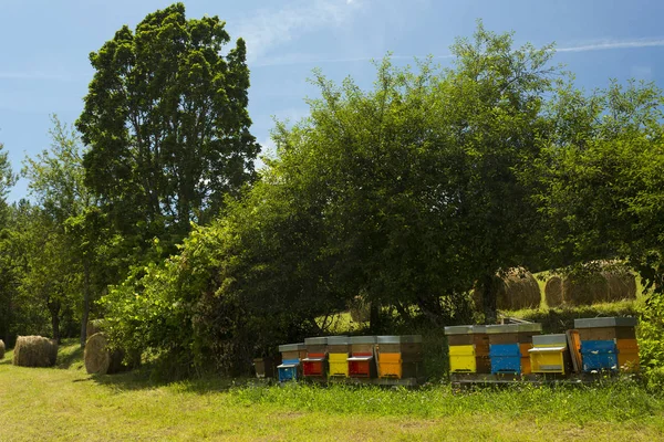 Bijenkorven op het platteland — Stockfoto