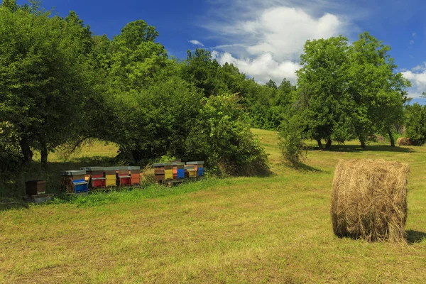 Bijenkorven op het platteland — Stockfoto