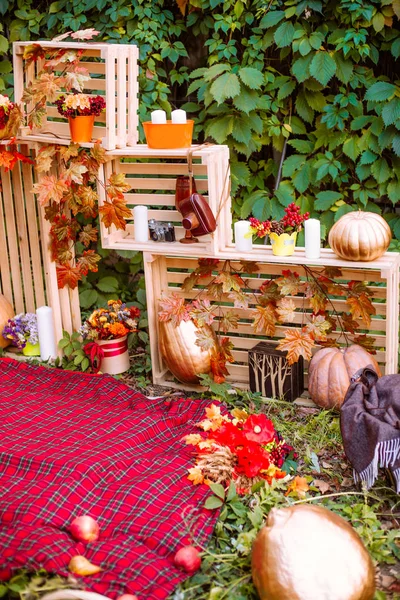 Schöner Herbst. Herbstliche Landschaft in der Natur. Äpfel und orangefarbene Kürbisse auf einer Lichtung im Herbst — Stockfoto