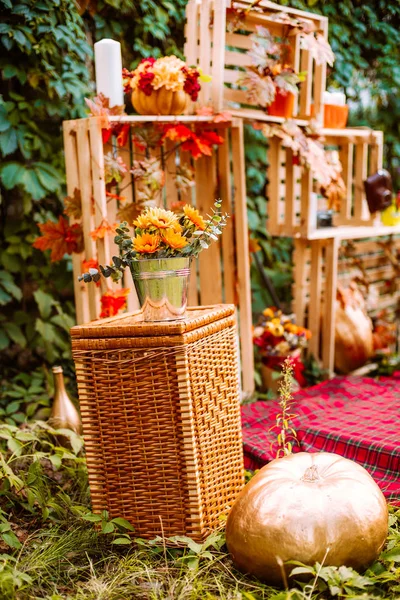 Beautiful autumn. Autumn scenery in nature. Apples and orange pumpkins in a clearing in an autumn — Stock Photo, Image