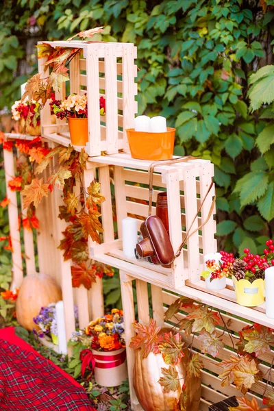 Beautiful autumn. Autumn scenery in nature. Apples and orange pumpkins in a clearing in an autumn — Stock Photo, Image