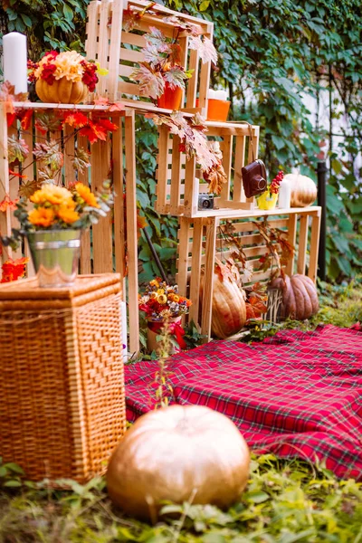Belo Outono. Cenário de outono na natureza. Maçãs e abóboras cor-de-laranja em uma clareira em um outono — Fotografia de Stock