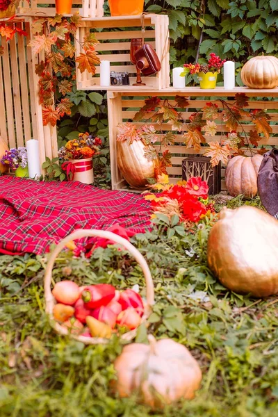 Beautiful autumn. Autumn scenery in nature. Apples and orange pumpkins in a clearing in an autumn — Stock Photo, Image