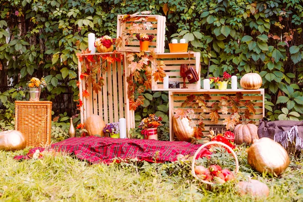 Belo Outono. Cenário de outono na natureza. Maçãs e abóboras cor-de-laranja em uma clareira em um outono — Fotografia de Stock
