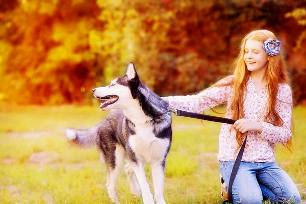 La muchacha pelirroja en los vaqueros juega con el perro de la raza husky. Paseo de otoño con un perro —  Fotos de Stock