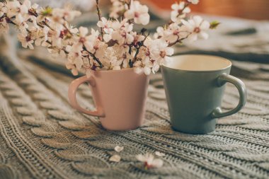 fincan çay bahar çiçek kiraz çiçek yün ekose arka plan ile. Vintage tarzı
